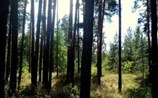 Природный парк «Ровеньский»