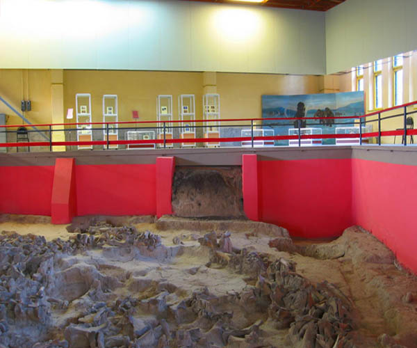 Археологический музей-заповедник «Костенки»