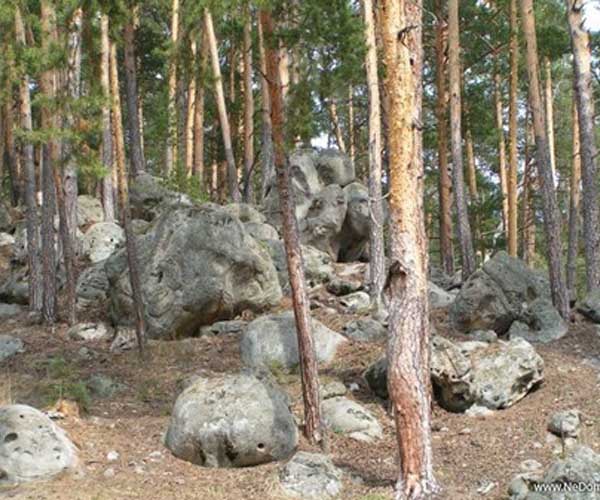 Каменный лес