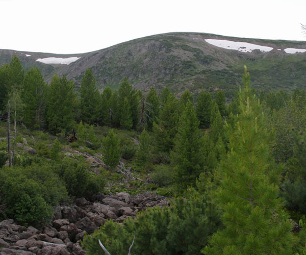 Сохондинский заповедник Забайкалья