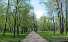 Парк Петровский
