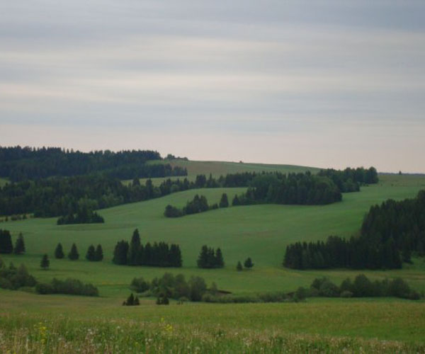 Заповедник Шаркан Удмуртия